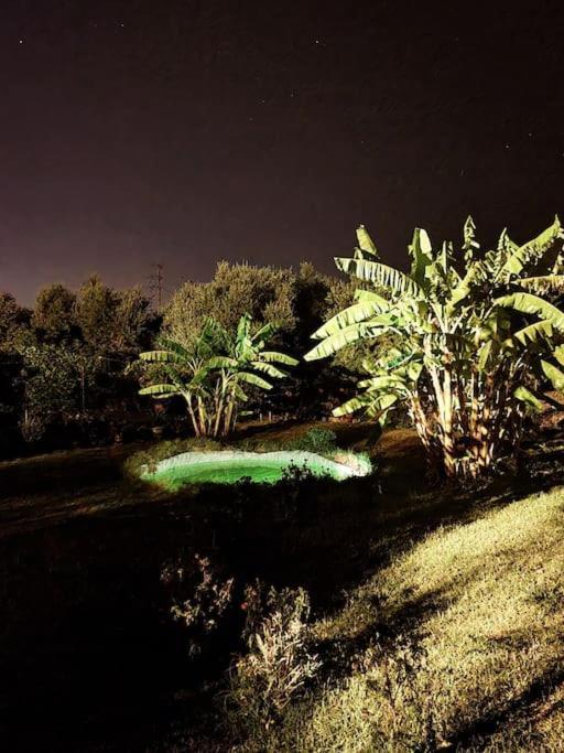 Leceleste Lithakia  Esterno foto